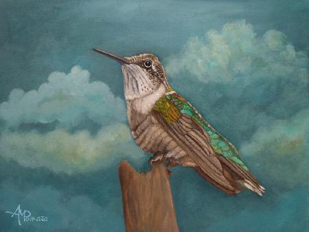 Moonlighting Hummingbird