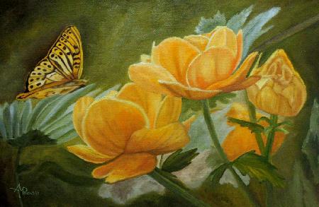 Butterfly Among Yellow Flowers
