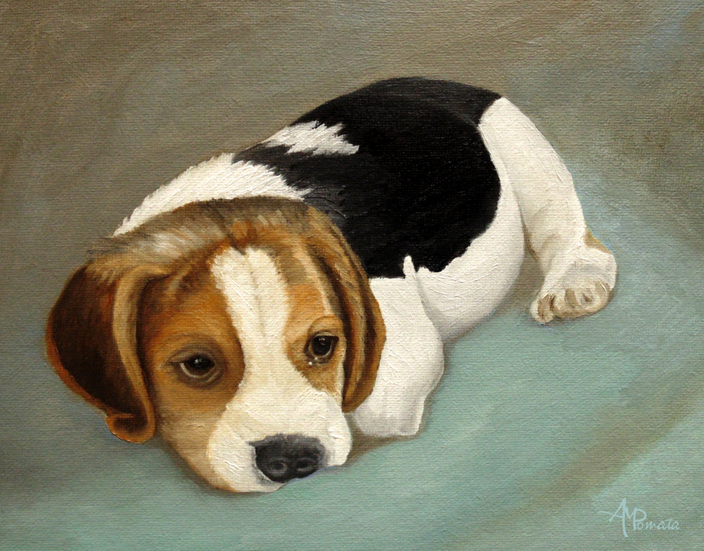 Cute Beagle a Angeles M. Pomata