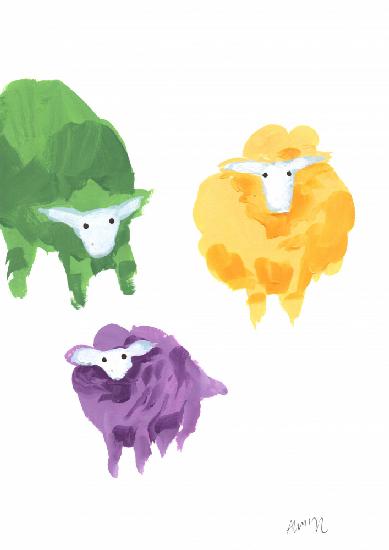 Sheep Triplets