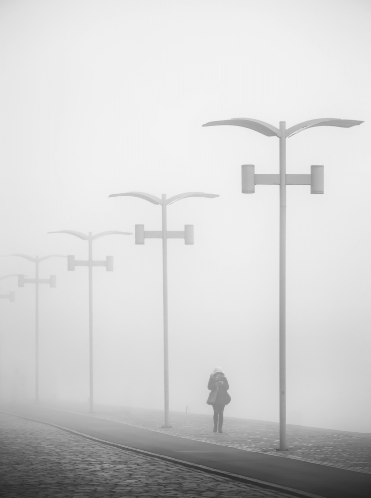 Walk in the fog. a Anna Niemiec