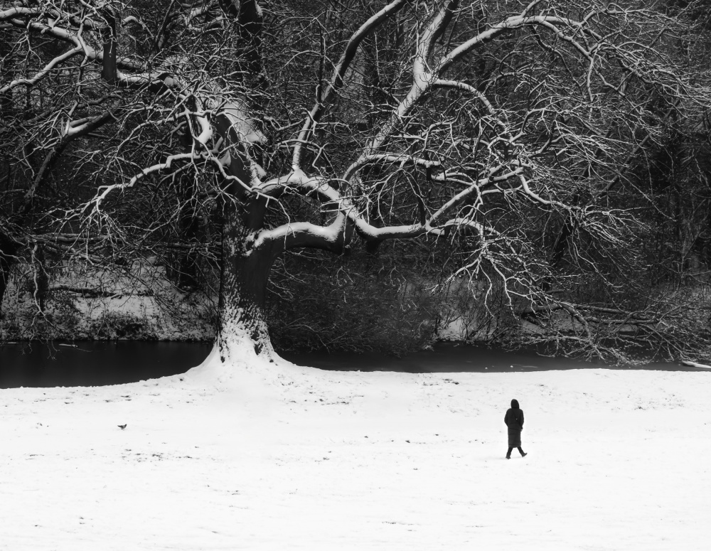 Walk in black and white. a Anna Niemiec
