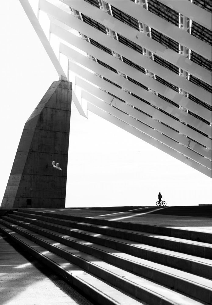 In the shadow of a solar power plant a Anna Niemiec