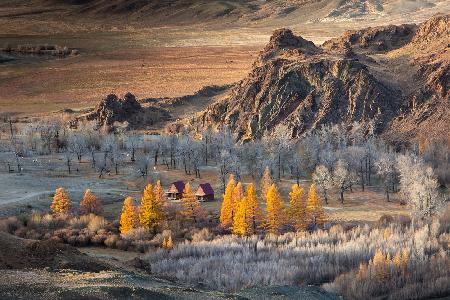 Oasis in the mountains (Altai)