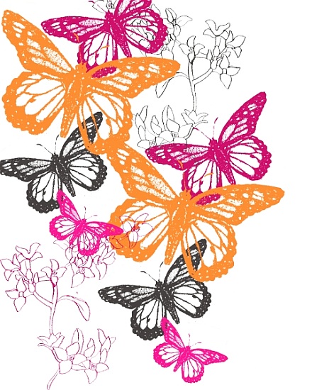 Butterfly a  Anna  Platts