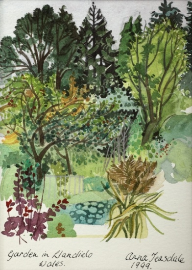 Garden in LLandielo a Anna  Teasdale