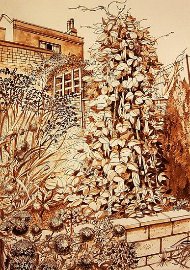 Back Garden with Beans, Bath (pen & ink and wash on paper)  a Anna  Teasdale