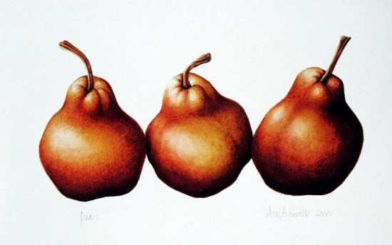 Pears, 2000 (w/c on paper)  a Annabel  Barrett