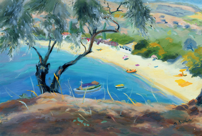 Achladies Bay, Skiathos, Greece, 1985 (oil on canvas)  a Anne  Durham