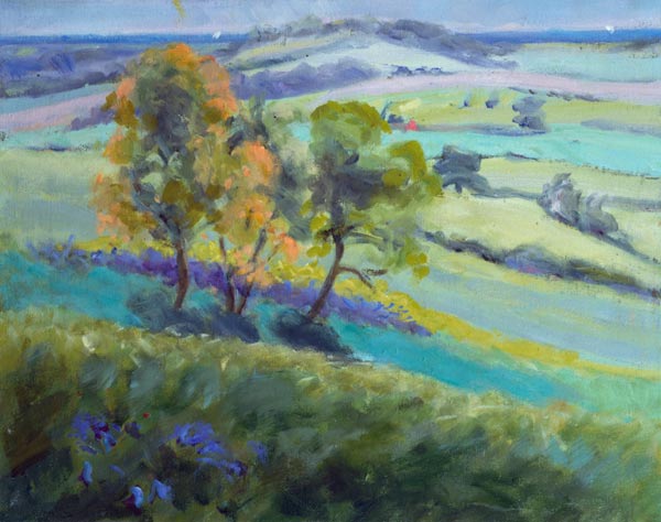 Towards Winchelsea, Sussex, with Bluebells in Spring (oil on canvas)  a Anne  Durham