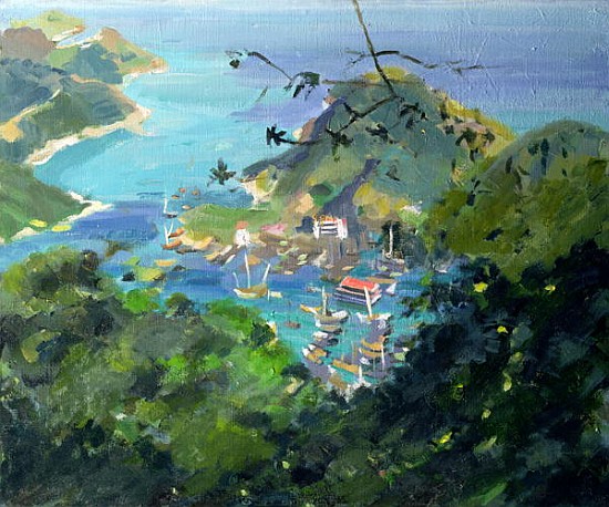 View of Aberdeen from the Peak, Hong Kong (oil on canvas)  a Anne  Durham