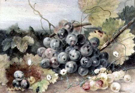 Grapes and Strawberries a Anne Frances Byrne