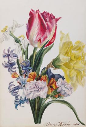 Spring Flowers