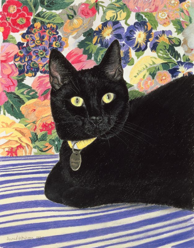 Black Cat (pastel on paper)  a Anne  Robinson