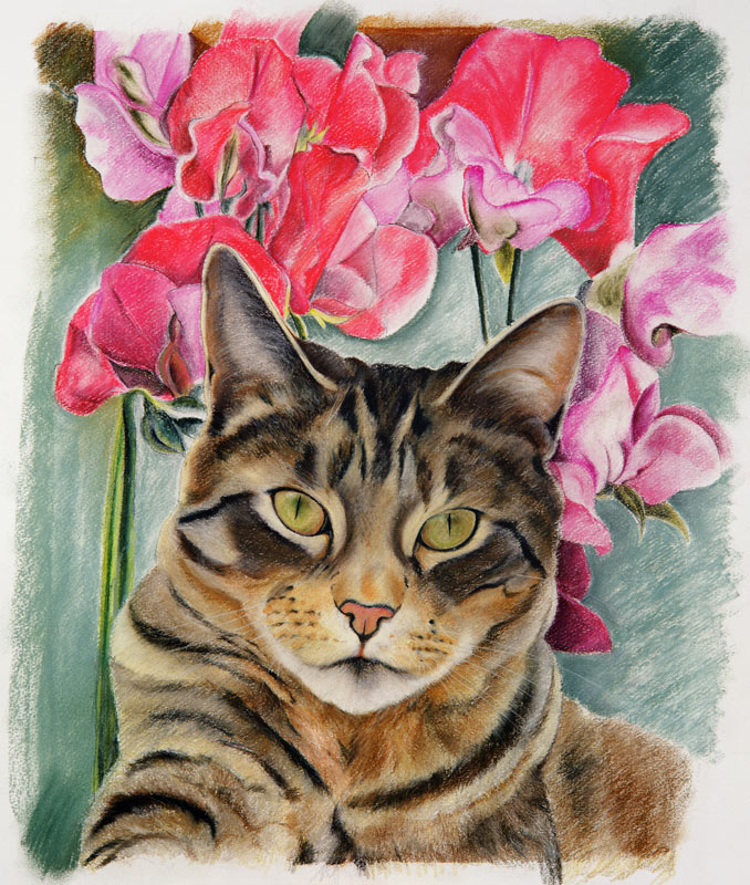 Cat with sweet peas a Anne  Robinson