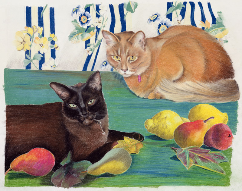 Cats with fruit a Anne  Robinson