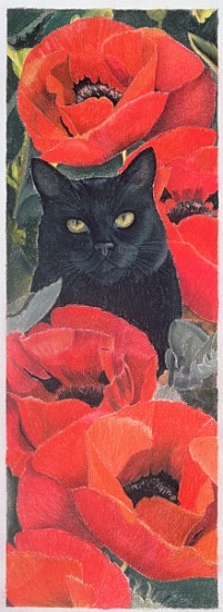 Black Cat with Poppies (pastel on paper)  a Anne  Robinson