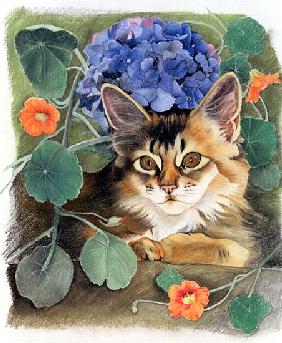 Sootsy with Hydrangea (pastel on paper) 