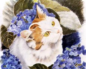 Turkish Van (pastel on paper) 