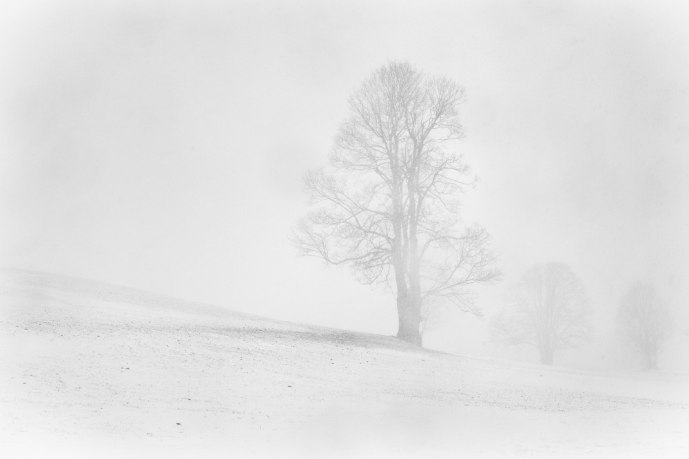 Misty winter in the Allgau a Annie Keizer