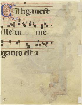 Lateinischer Text "Aligauerit ..." und Noten