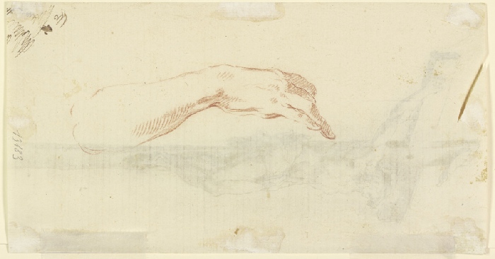 Study of a hand a Anonym