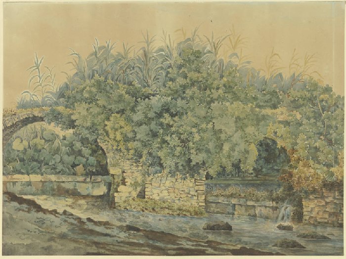 Verfallene Steinbrücke über einen Bach, von Büschen und Pflanzen überwuchert a Anonym