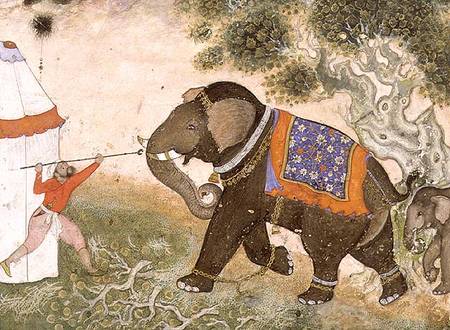 52.43 An enraged elephant, Mughal a Anonimo