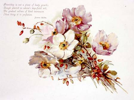 Friendship, Victorian, book illustration of flowers a Anonimo