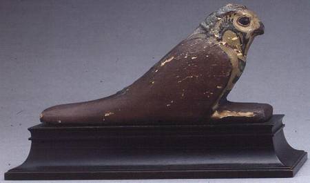 Mummified falcon a Anonimo