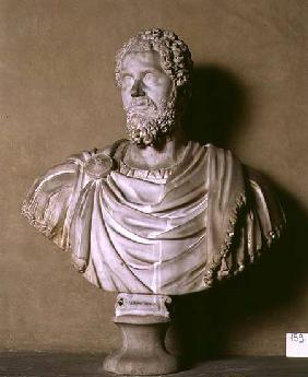 Bust of Septimius Severus Roman