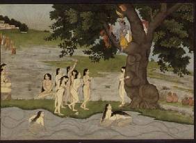 Krishna steals the clothes of Gopies, from the 'Bhagavata purana', Kangra, Himachal Pradesh, Pahari