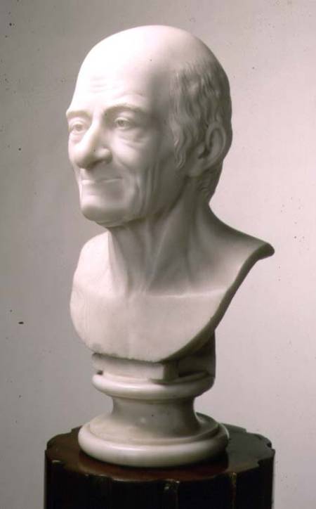 Marble bust of Voltaire a Anonymus