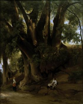 Tree Landscape