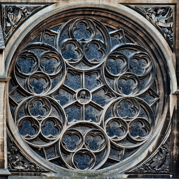 Rose Window a Ant Smith