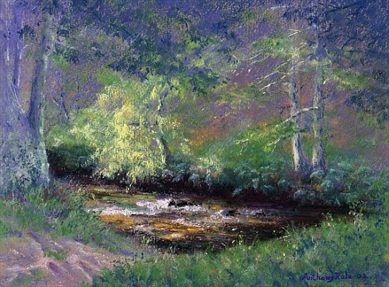 Forest Stream a Anthony  Rule