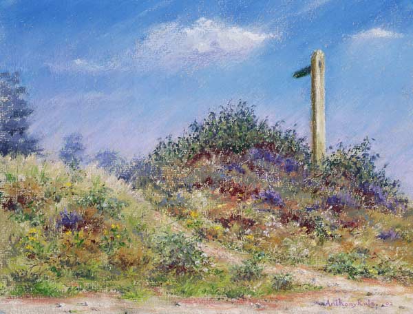Public Footpath, 2002 (pastel on paper)  a Anthony  Rule