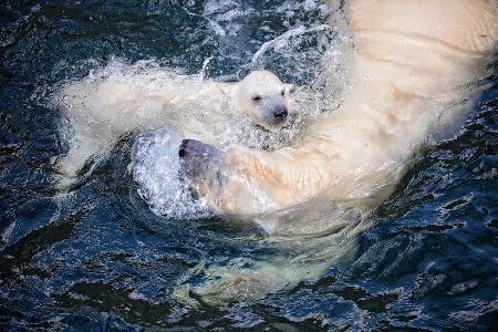 HER CUTENESS, swimming with mum