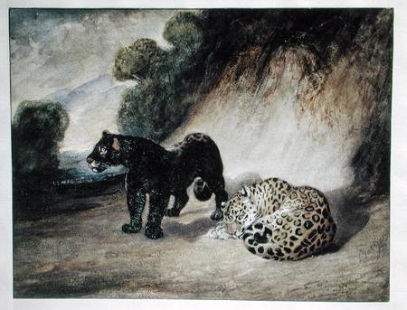 Two Jaguars from Peru a Antoine Louis Barye