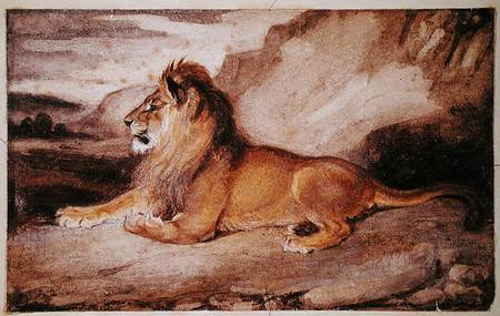Lion Resting (w/c & gouache on paper) a Antoine Louis Barye