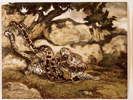 A Python Killing a Tiger (w/c & gouache on paper) a Antoine Louis Barye