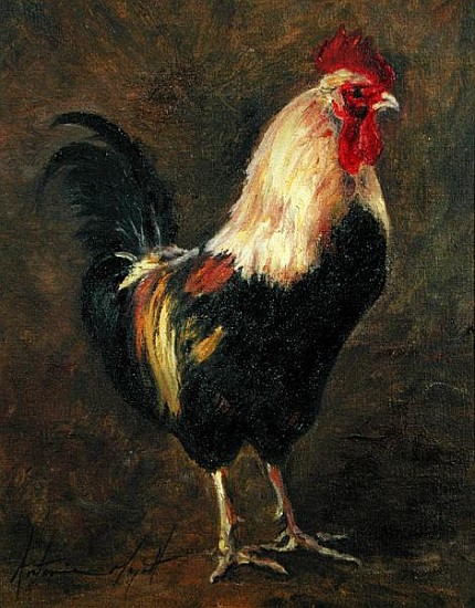 The Cockerel, 1999 (oil on canvas)  a Antonia  Myatt