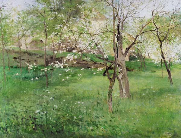 Blossoming orchard at Okor a Antonin Slavicek