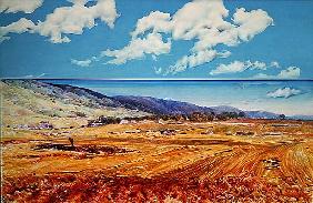 Gargano, 1980 (acrylic on canvas) 