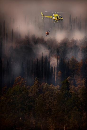 Fire in the Cilento National Park - Italy