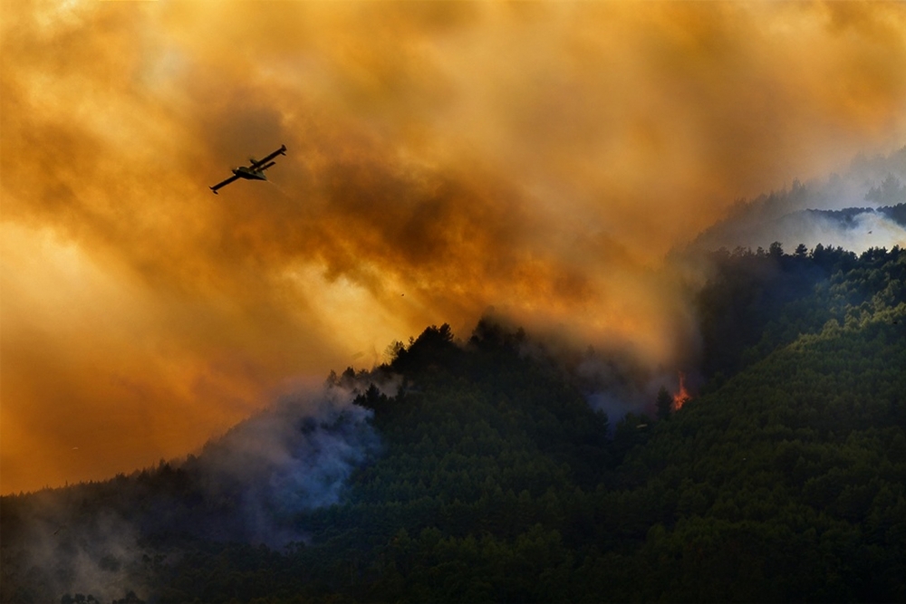 Fire in the Cilento National Park - Italy a Antonio Grambone