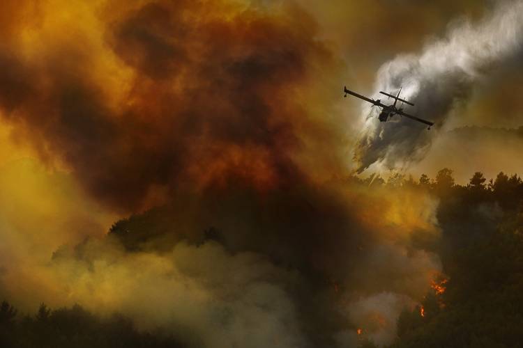 Fire in National Park of Cilento (SA) - Italy a Antonio Grambone