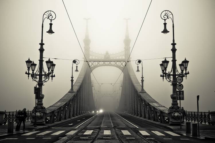 The Bridge a Armin Marten