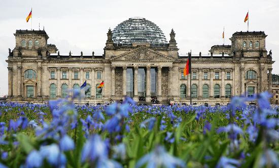 Blumenwiese vor Reichstag a Arno Burgi