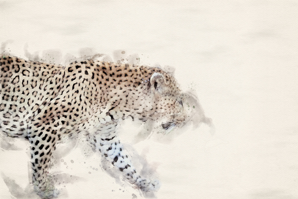 Abstract African Leopard Watercolor Art a Arno Du Toit